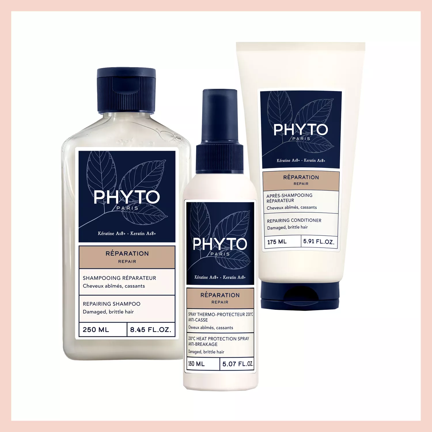 February Launches